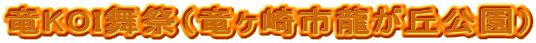 KOIՁisuj